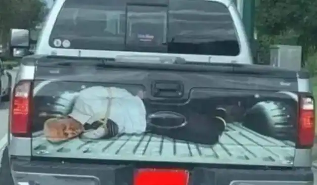 离谱！特朗普发布视频中出现“拜登捆绑照”，拜登竞选团队回击