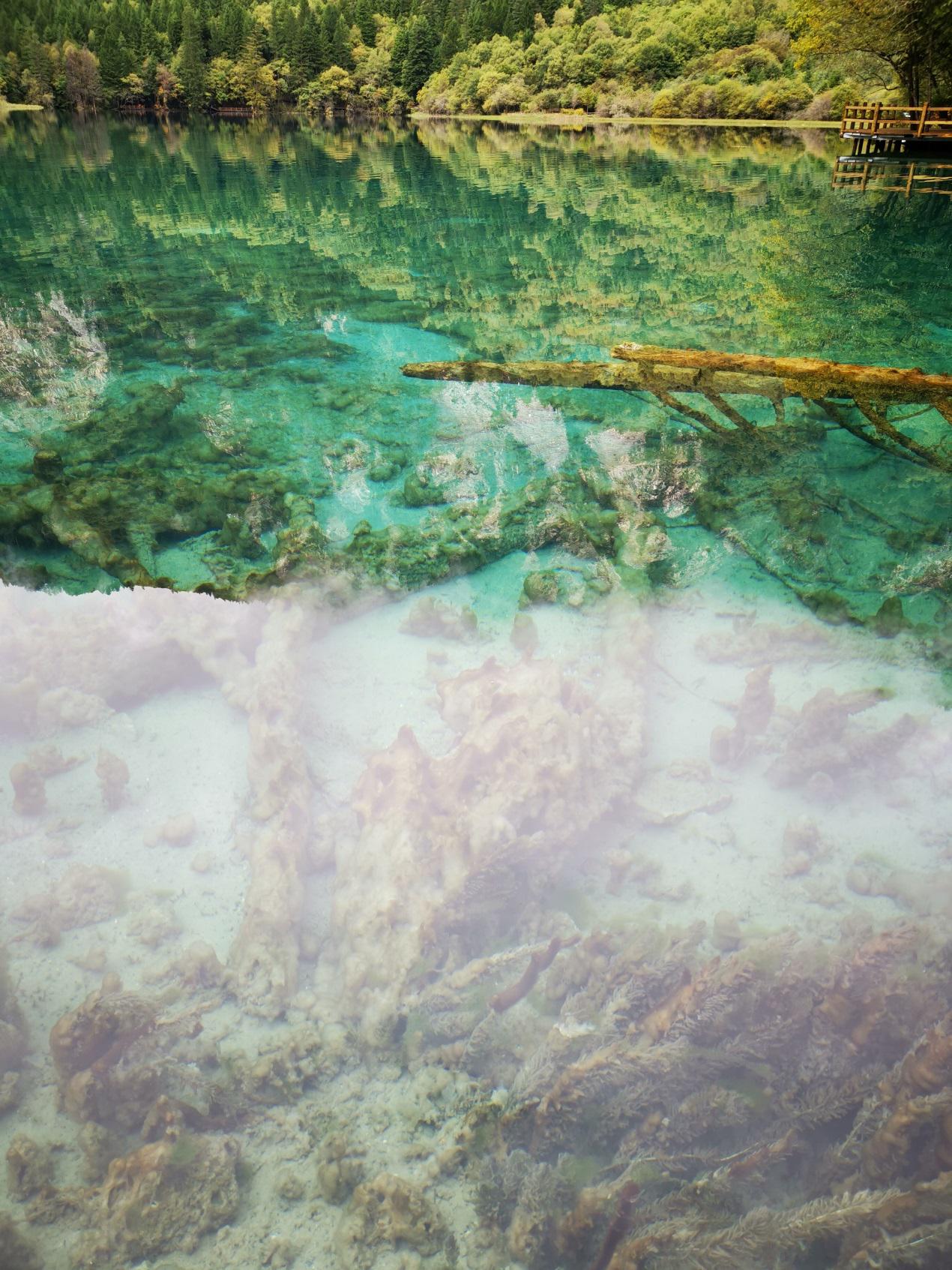 新闻热评九寨沟地震_九寨沟地震后诺日朗瀑布恢复情况_九寨沟地震后火花海遥感监测评估