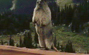 碰瓷又有新招!超车竟变成“肇事逃逸”,还要15000元私了!已有车主中招……