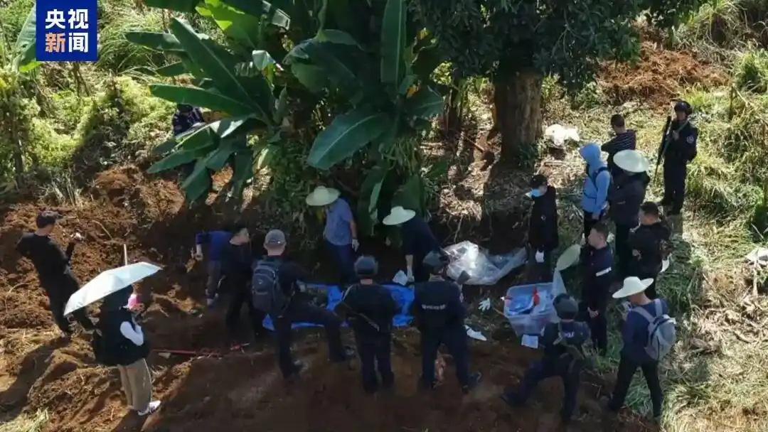 缅北电诈园区残暴管理_缅北魏家接班人:让中国法律制裁我吧_魏家犯罪集团陈大卫杀人祭天