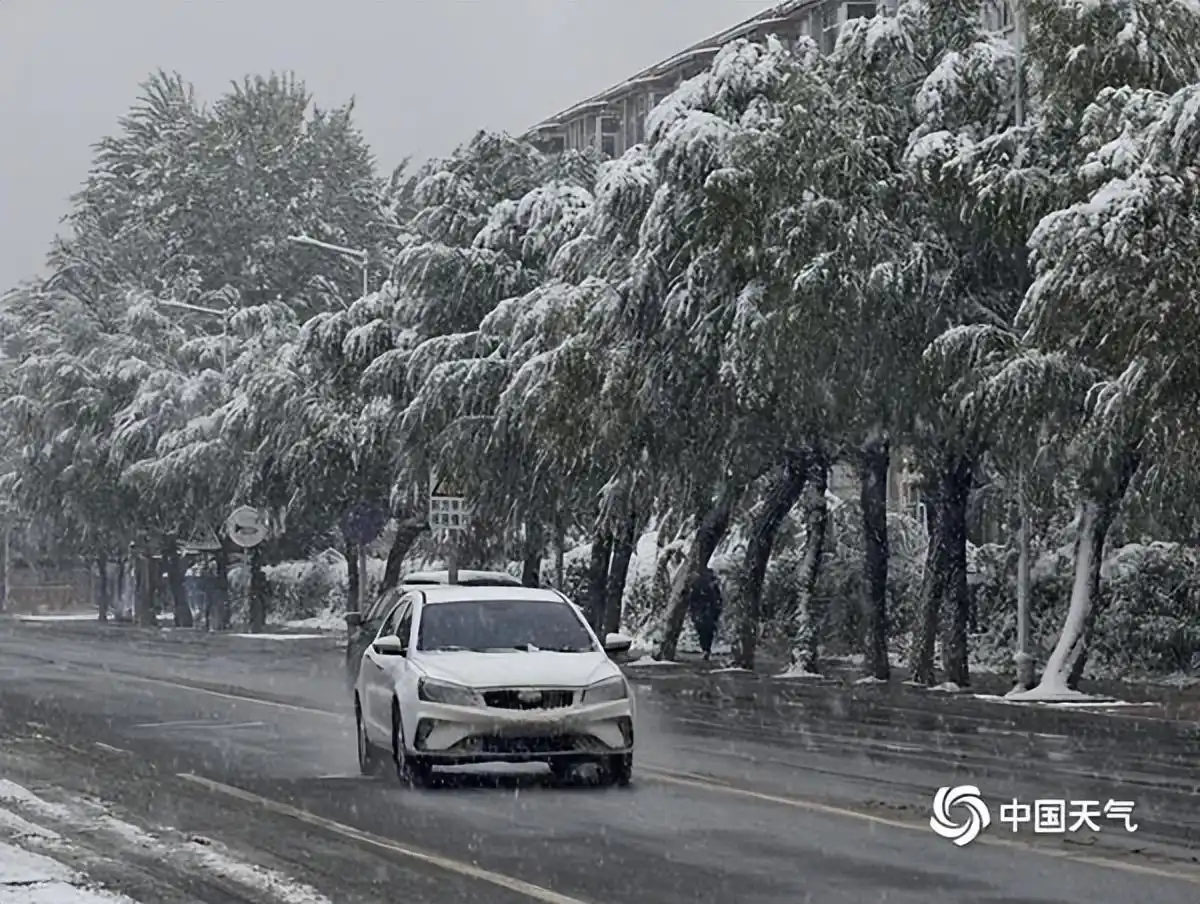 南北气温差异_今冬初雪_南方还在吹空调 北方已经下雪了