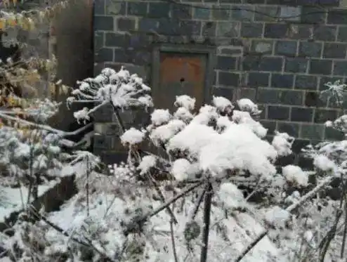 广州市气象局回应_南方还在吹空调 北方已经下雪了_北京今晨降雪