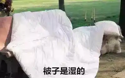 北京今晨降雪_南方还在吹空调 北方已经下雪了_广州市气象局回应