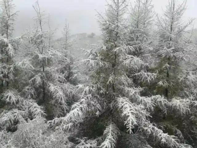 南方还在吹空调 北方已经下雪了_广州市气象局回应_北京今晨降雪