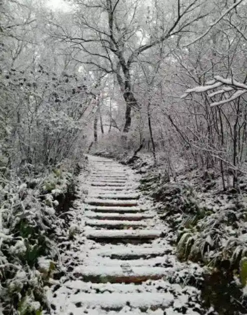 北京今晨降雪_广州市气象局回应_南方还在吹空调 北方已经下雪了