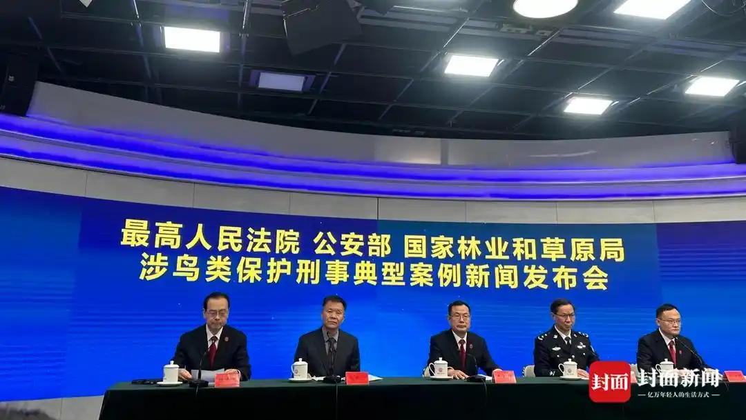 猎捕七百余只画眉鸟 法院：构成危害珍贵、濒危野生动物罪