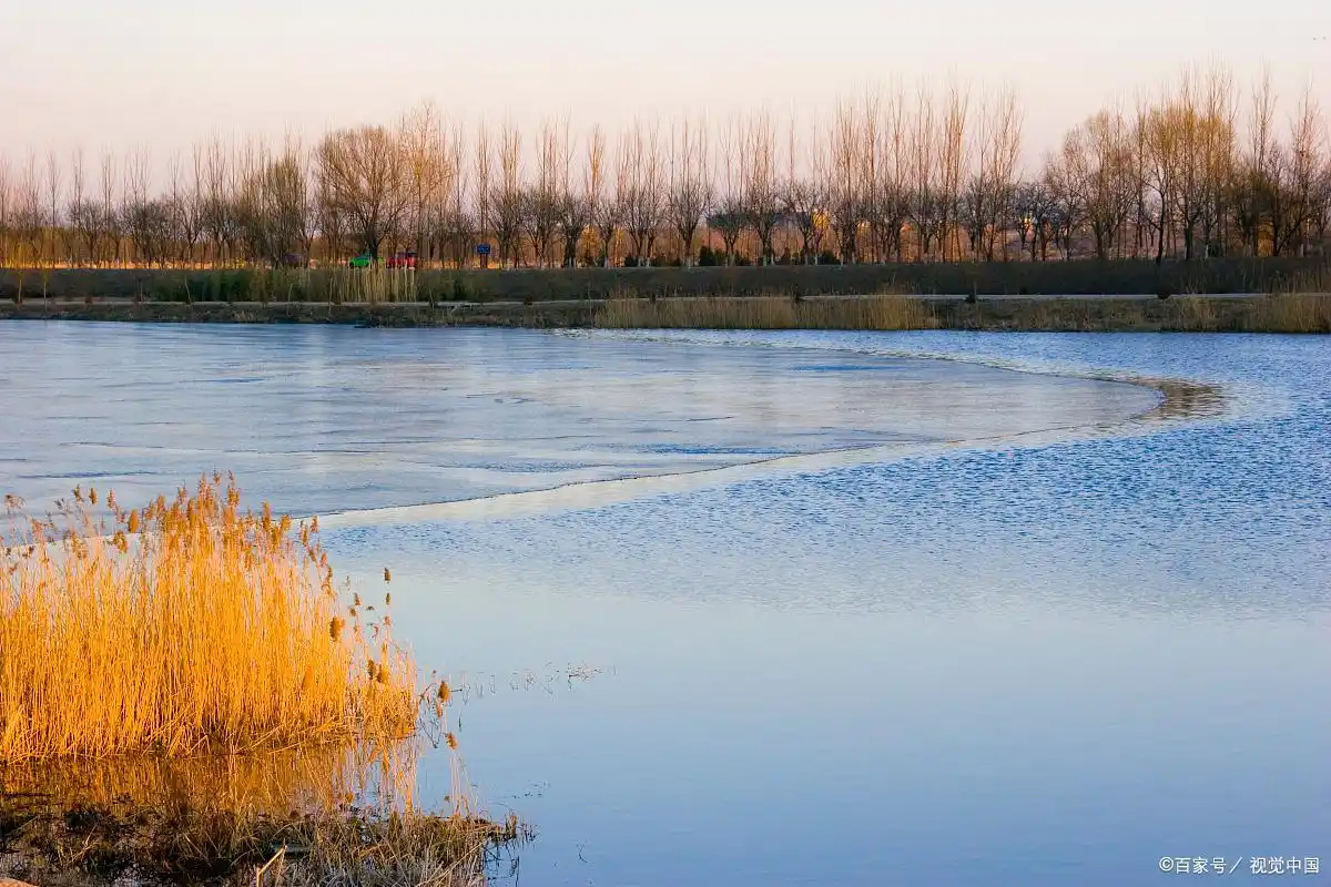 人教版八年级语文上册第一单元所涉及的中考考点——给新闻拟标题