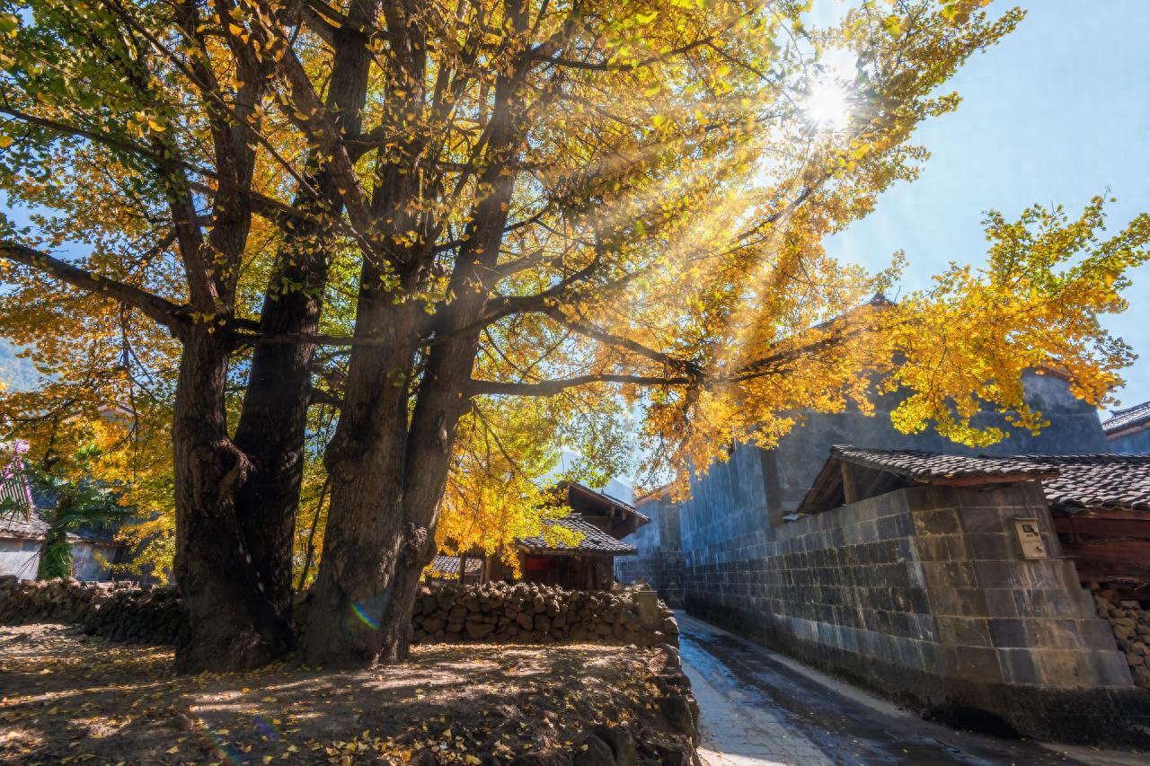 11月别错过！这十大旅行地人少景美，性价比超高