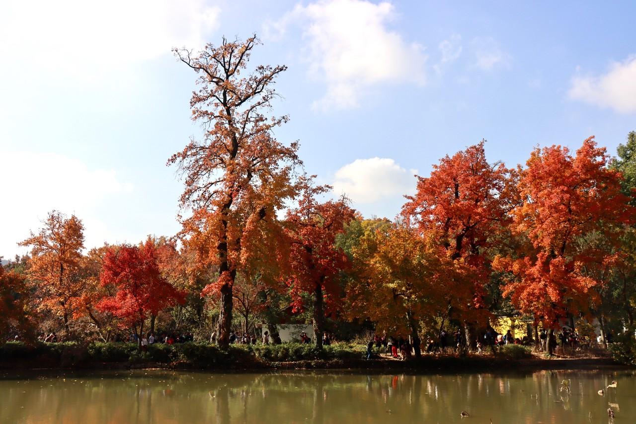中国最美风景区排行榜_11月旅行地推荐_避人潮旅行攻略