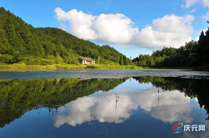 庆元，省级荣誉+1