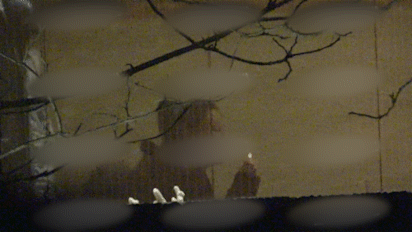 殷桃前夫沈俊成受贿案开审_殷桃个人生活_殷桃感情经历