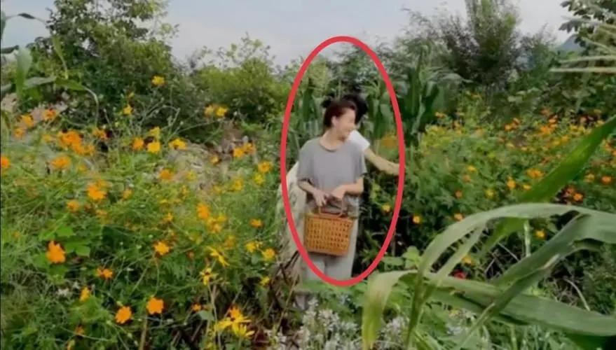 殷桃豪宅庭院设计_殷桃前夫沈俊成受贿案开审_殷桃真实生活体验