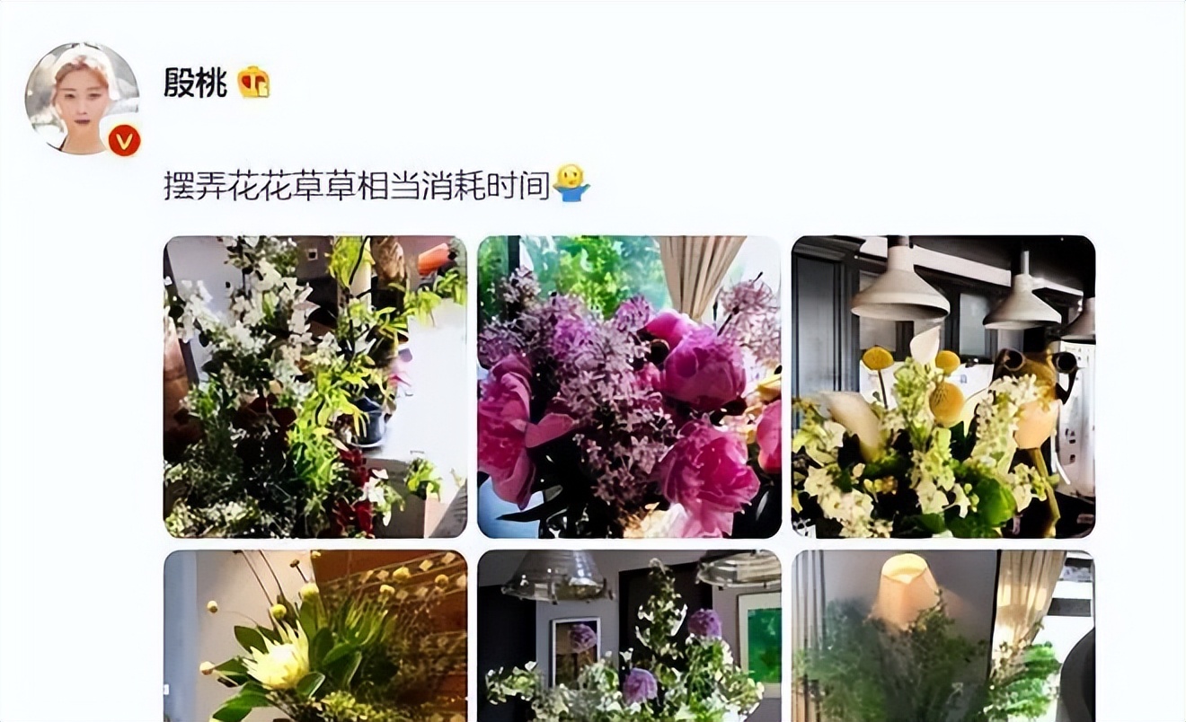 殷桃前夫沈俊成受贿案开审_殷桃豪宅庭院设计_殷桃真实生活体验