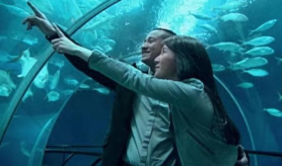 《蜗居》小贝是好男人？即便不遇到宋思明，海藻嫁给他也不会幸福