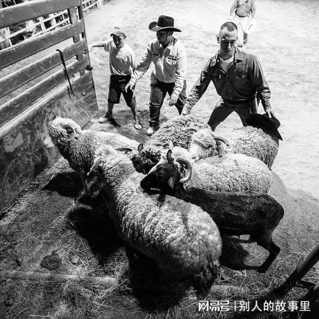 克服困难追求梦想_实现梦想的坚持与努力_抵达自己的梦想