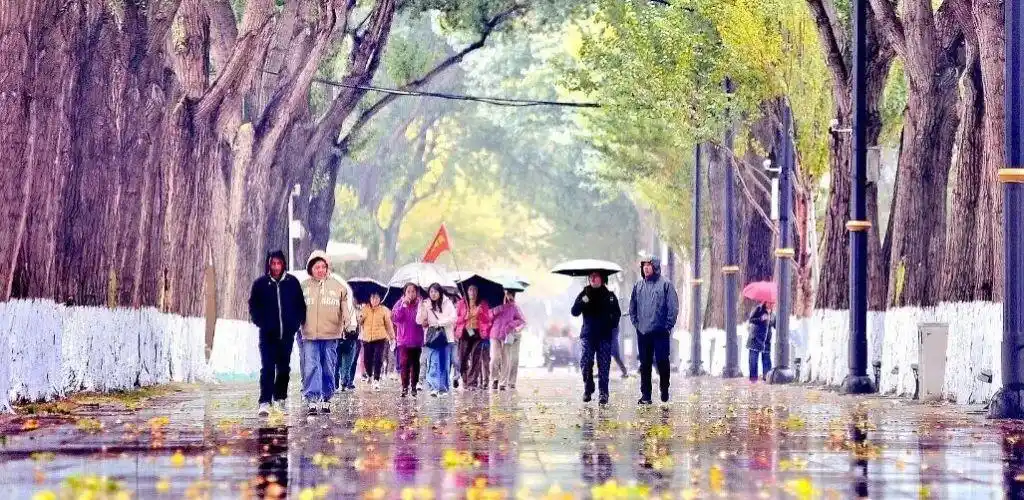 今年下半年最强冷空气_多地气温连创今年下半年来新低_多地迎剧烈降温!大雪大暴雨来了