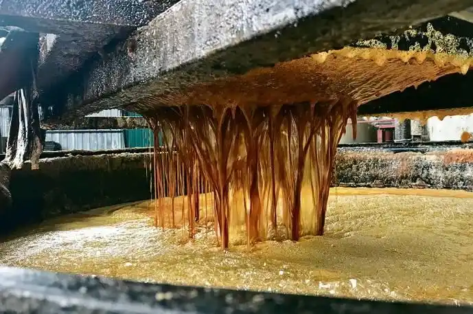 美威胁停买的中国油或为废弃食用油_NOPA要求提高对中国废食用油关税_美国对中国废食用油加征关税