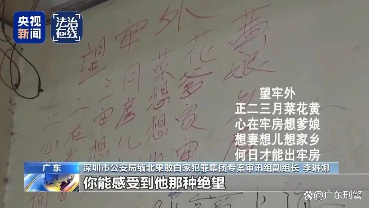 缅北魏家犯罪集团“军政商”一体_缅北白家犯罪集团起诉 深圳市人民检察院 提起公诉