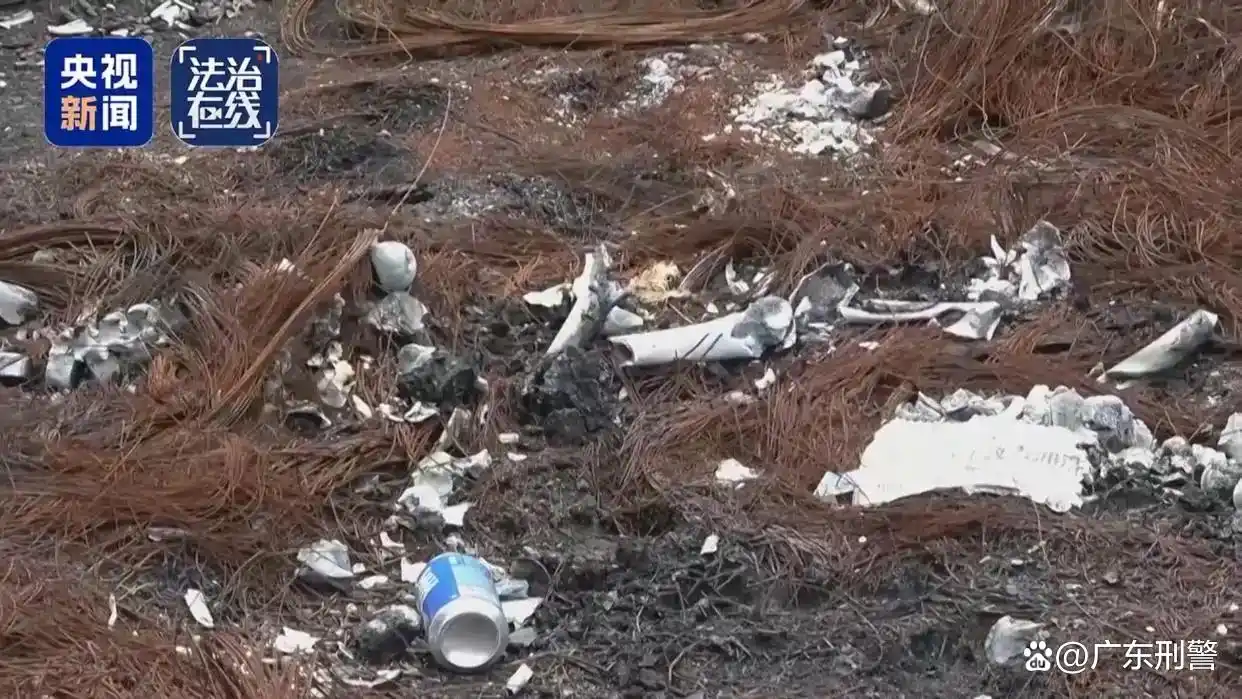 缅北魏家犯罪集团“军政商”一体_缅北白家犯罪集团起诉 深圳市人民检察院 提起公诉