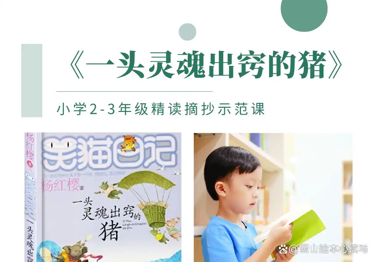 笑猫日记一头灵魂出窍的猪好词好句讲解_笑猫日记一头灵魂出窍的猪作者杨红樱阅读指导_笑猫日记寻找黑骑士读书笔记