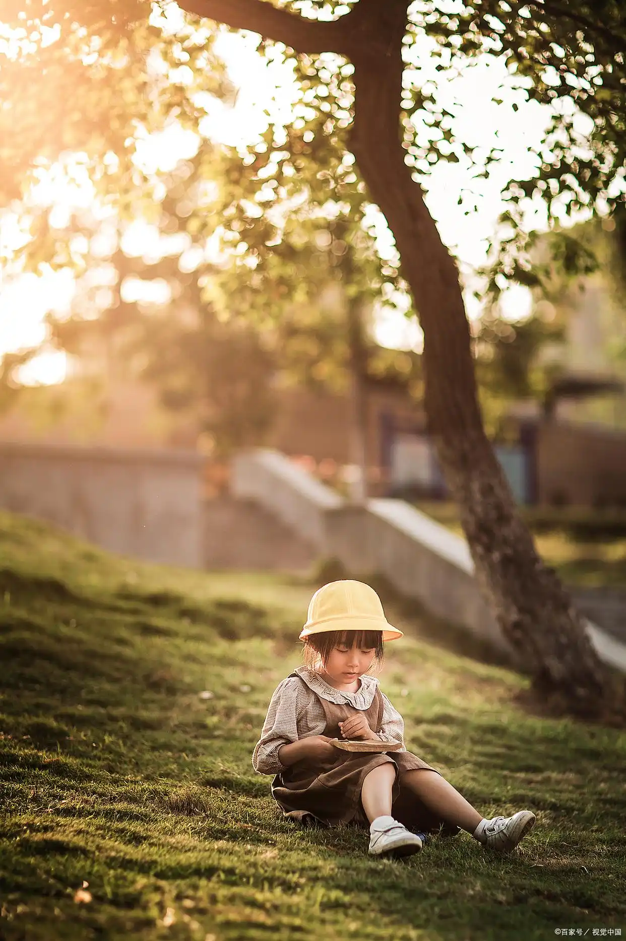 笑猫日记一头灵魂出窍的猪作者杨红樱阅读指导_笑猫日记寻找黑骑士读书笔记_笑猫日记一头灵魂出窍的猪好词好句讲解
