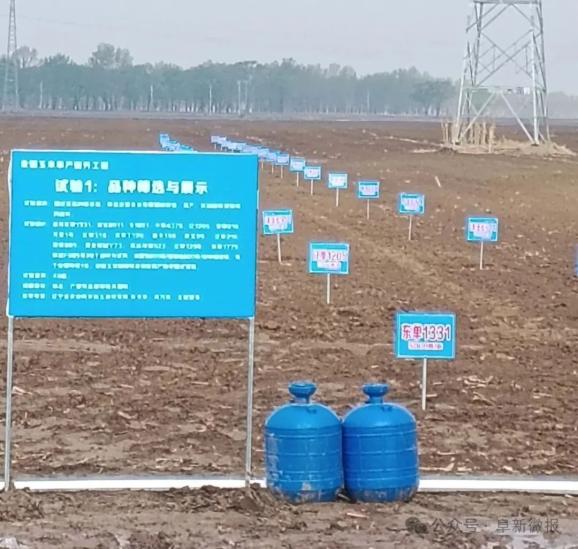 阜新市百万亩农业单产提升工程_彰武县玉米单产提升示范县_阜新新闻网农业