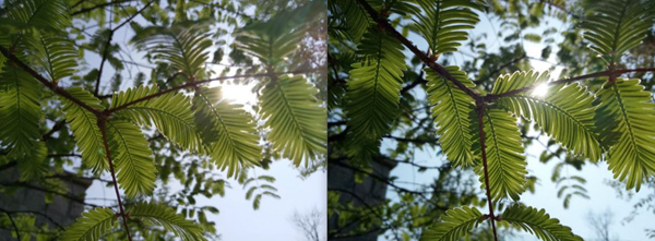 魅蓝Note3 对比_乐视手机玩游戏竖屏怎么办_乐视超级手机2 评测