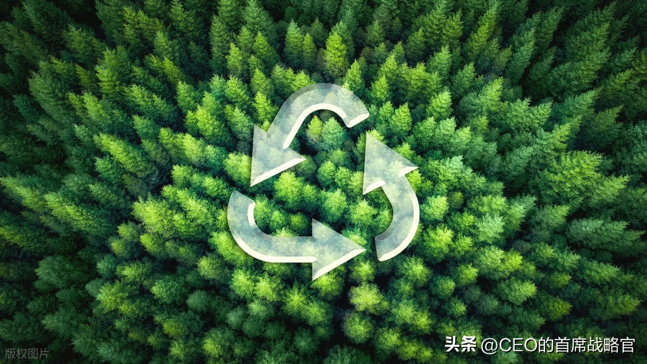 细胞间的三张信息交流方式_生物型组织_机械式组织转型