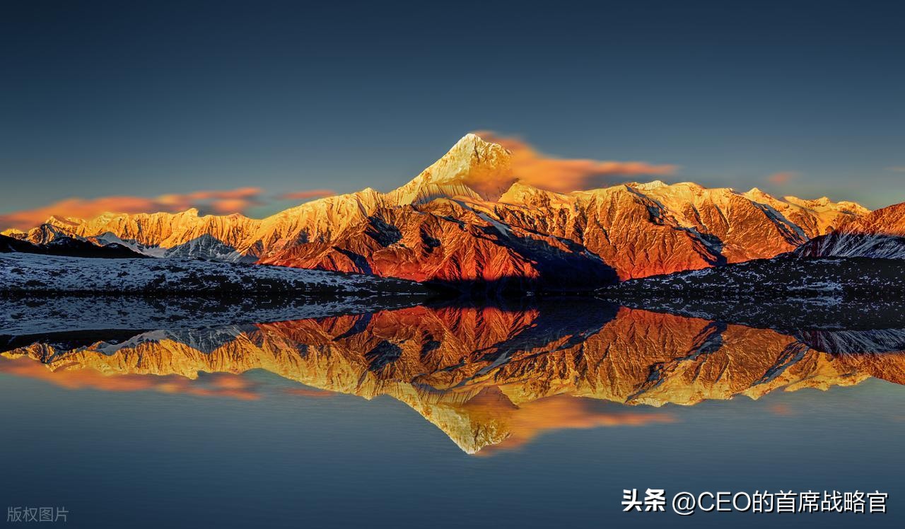 生物型组织_机械式组织转型_细胞间的三张信息交流方式