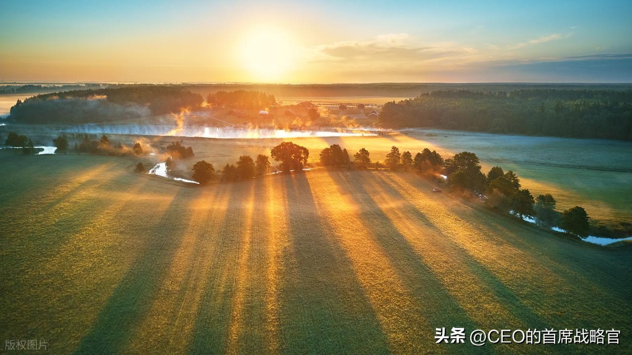 生物型组织_细胞间的三张信息交流方式_机械式组织转型