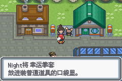 口袋妖怪白金光一周目图文攻略大全_口袋妖怪黑白2周目_口袋妖怪白金光一周目详细流程指南