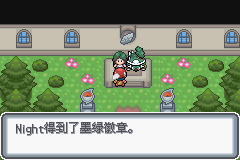口袋妖怪黑白2周目_口袋妖怪白金光一周目图文攻略大全_口袋妖怪白金光一周目详细流程指南
