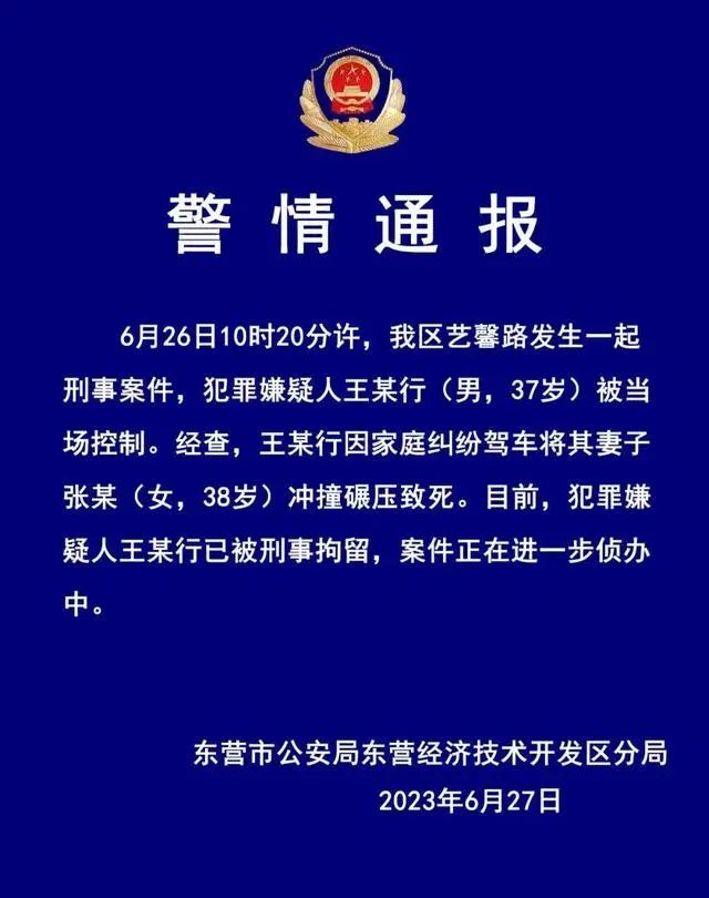 山东女子被打死_山东东营男子碾压妻子事件_王某行故意杀人案