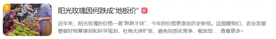 每斤单价跌破3元！葡萄界“爱马仕”阳光玫瑰因何跌成“地板价”？