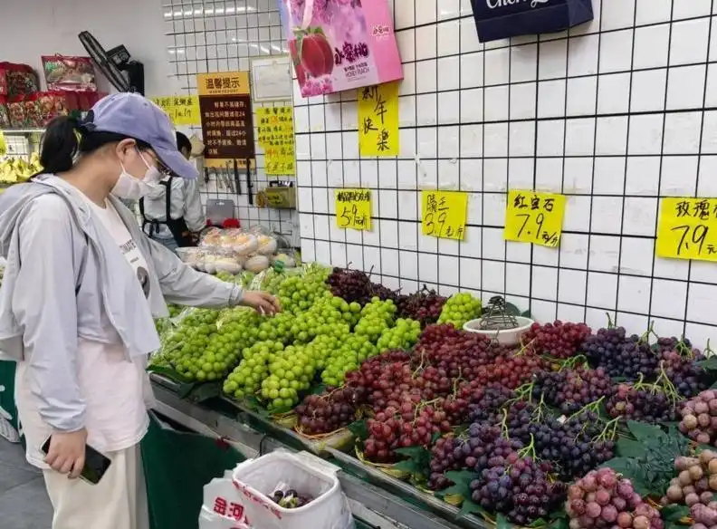 阳光玫瑰价格下跌_阳光玫瑰因何跌成“地板价”_阳光玫瑰市场供需关系变化