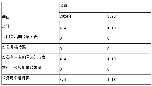 阜新市文化市场综合行政执法队2025年度单位预算说明