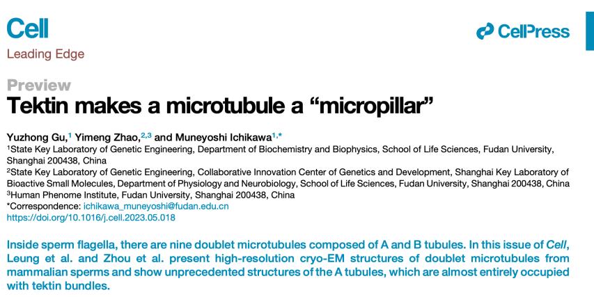 复旦大学科研成果_科研新闻稿模板_复旦大学科研团队最新突破