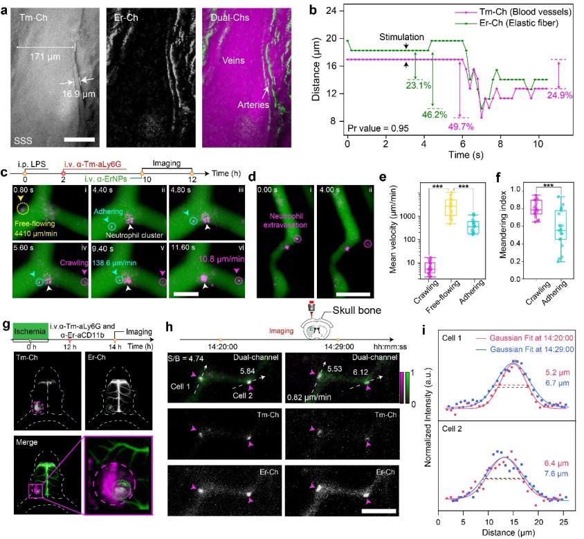 复旦大学科研成果_科研新闻稿模板_复旦大学科研团队最新突破