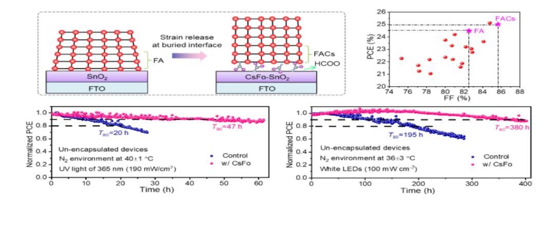 复旦大学科研团队最新突破_复旦大学科研成果_科研新闻稿模板
