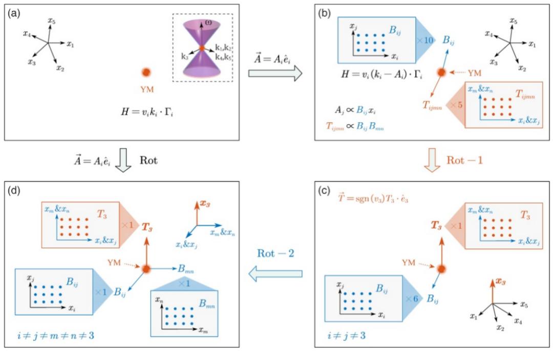 科研新闻稿模板_复旦大学科研团队最新突破_复旦大学科研成果