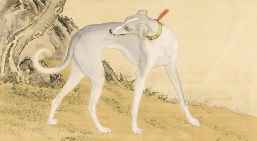 二郎神哮天犬形象演变_神将哮天犬_细狗文化历史