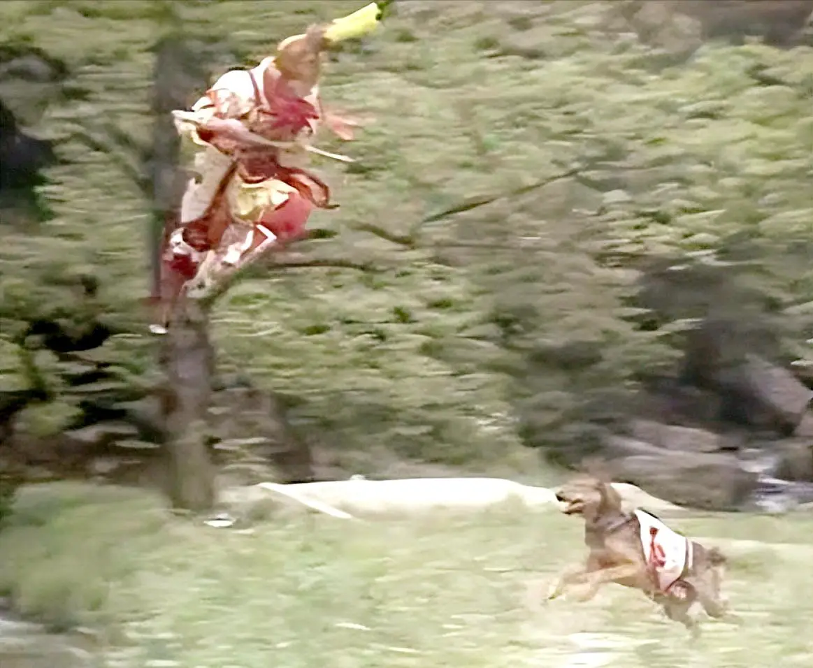 神将哮天犬_细狗文化历史_二郎神哮天犬形象演变