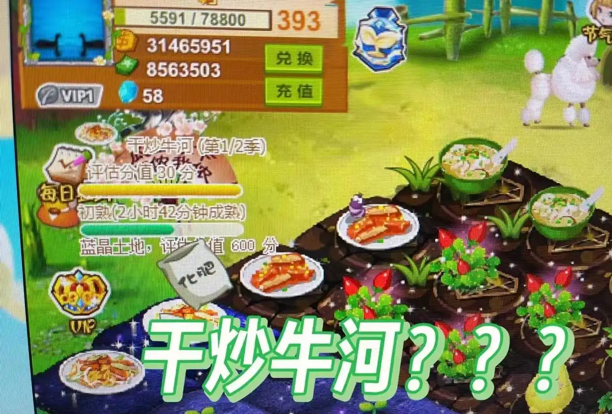 妈妈在QQ农场种出干炒牛河和蒜香排骨，网友回应：3个账号轮流玩，最高已经401级