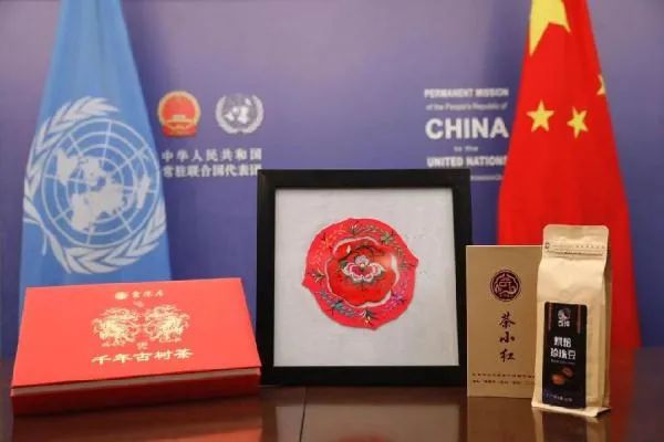 叶萍带领村民种植咖啡的故事_云南咖啡主理人路边咖啡火出圈_云南咖啡生豆大赛冠军