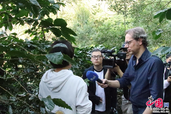 “七彩云南行”国际媒体团集体点赞普洱