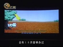 电视观众的互动性是指在