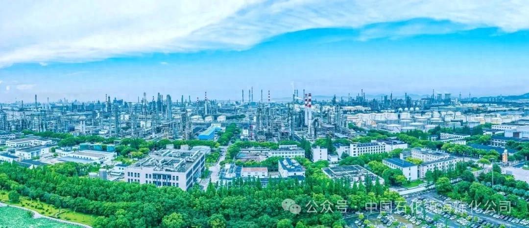 镇海炼化应届毕业生招聘_中石化人才招聘网站怎么改手机号_中石化宁波镇海炼化有限公司2026年度招聘