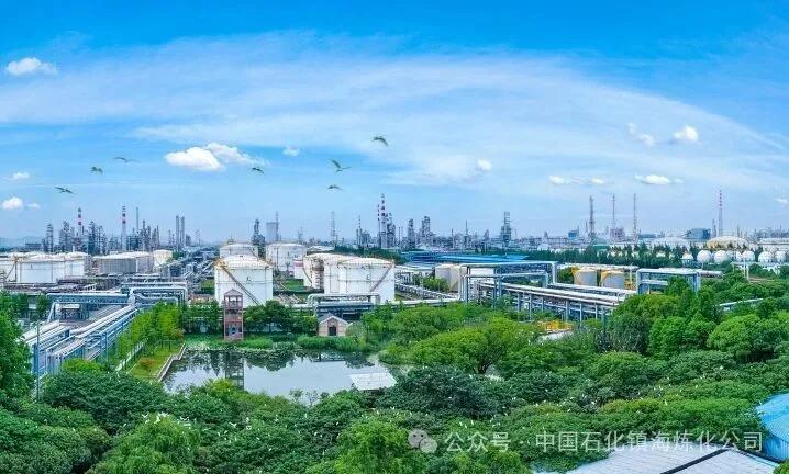 中石化宁波镇海炼化有限公司2026年度招聘_镇海炼化应届毕业生招聘_中石化人才招聘网站怎么改手机号