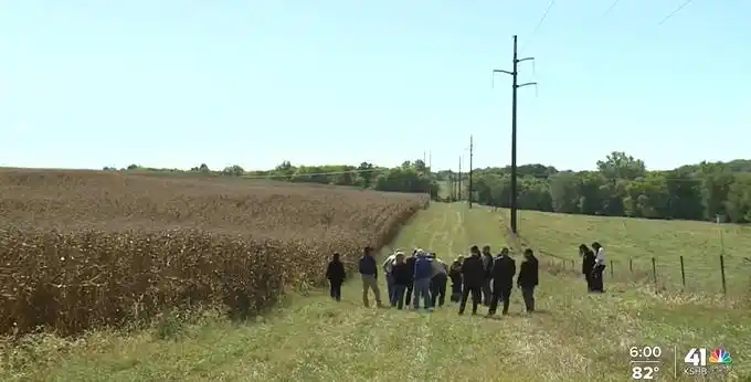 美国大豆出口困境_美国一储藏约816吨大豆粮仓倒塌_中国大豆进口转向巴西