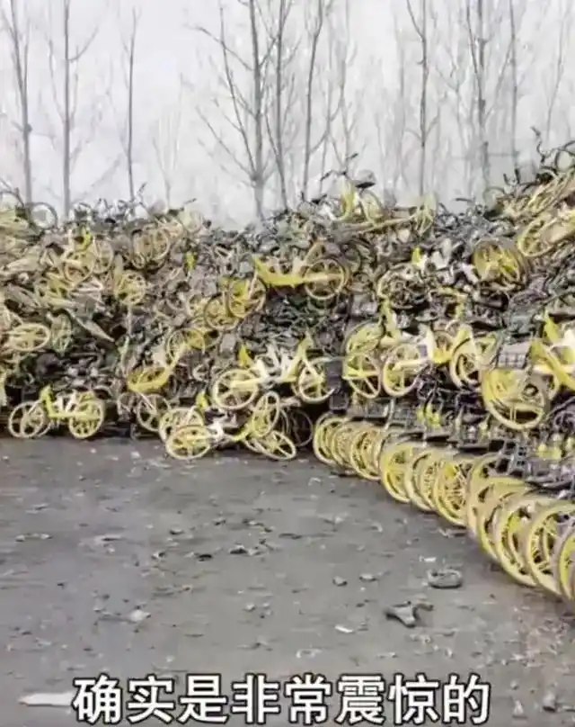 男子偷上万辆共享单车 每辆卖105元_央视曝光共享单车盗窃团伙_共享单车盗窃案